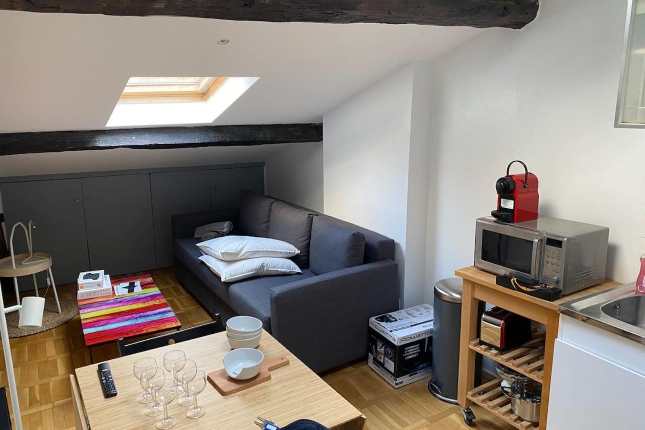 Le Petit Arloing-Studio Quais De Saone Vaise 里昂 外观 照片