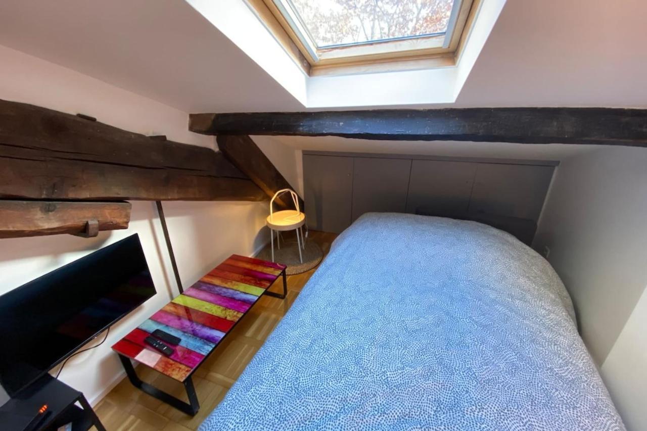 Le Petit Arloing-Studio Quais De Saone Vaise 里昂 外观 照片